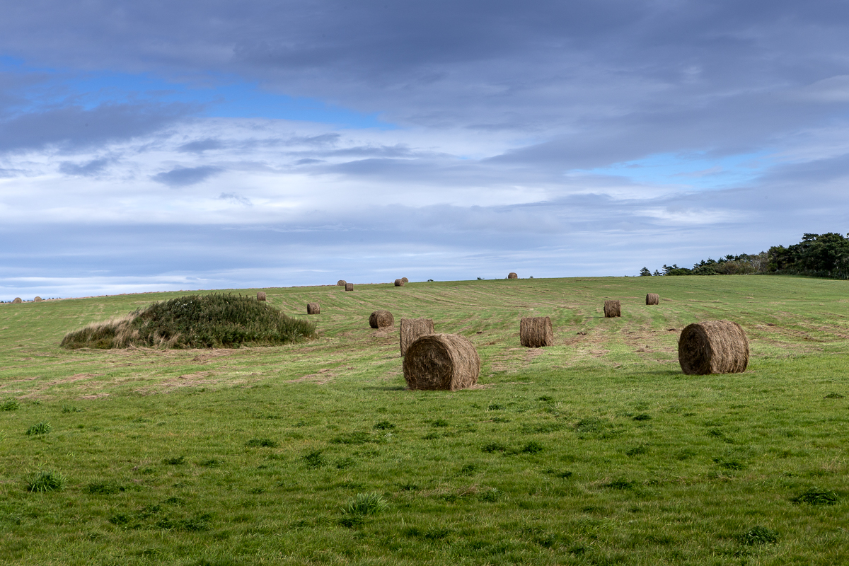 北海道初田牛の大地に広がる干し草ロールと広い空 Hay rolls and vast sky stretching across the land of Hatsutaushi, Hokkaido